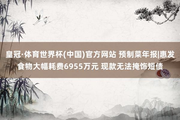 皇冠·体育世界杯(中国)官方网站 预制菜年报|惠发食物大幅耗费6955万元 现款无法掩饰短债