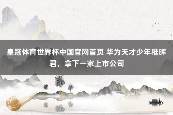 皇冠体育世界杯中国官网首页 华为天才少年稚晖君,拿下一家上市公司