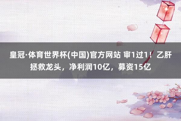 皇冠·体育世界杯(中国)官方网站 审1过1!乙肝拯救龙头,净利润10亿,募资15亿