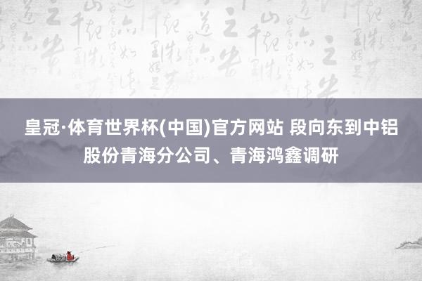 皇冠·体育世界杯(中国)官方网站 段向东到中铝股份青海分公司、青海鸿鑫调研