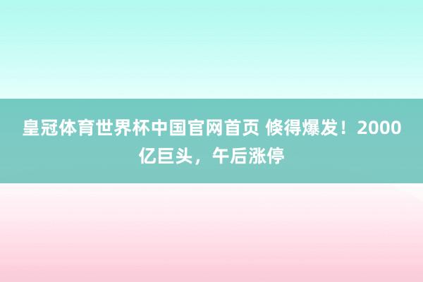 皇冠体育世界杯中国官网首页 倏得爆发!2000亿巨头,午后涨停