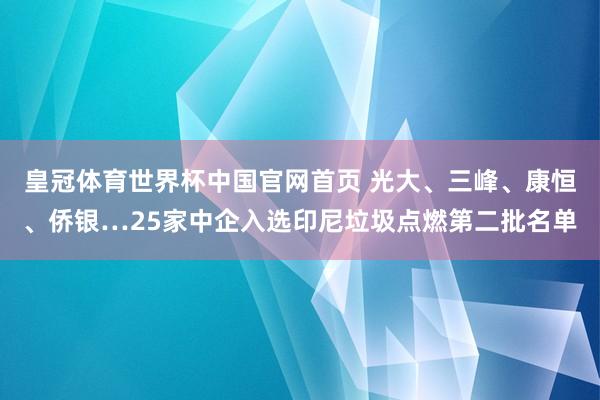皇冠体育世界杯中国官网首页 光大、三峰、康恒、侨银…25家中企入选印尼垃圾点燃第二批名单