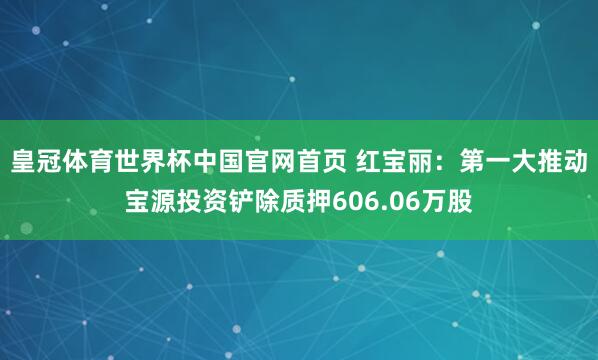 皇冠体育世界杯中国官网首页 红宝丽:第一大推动宝源投资铲除质押606.06万股
