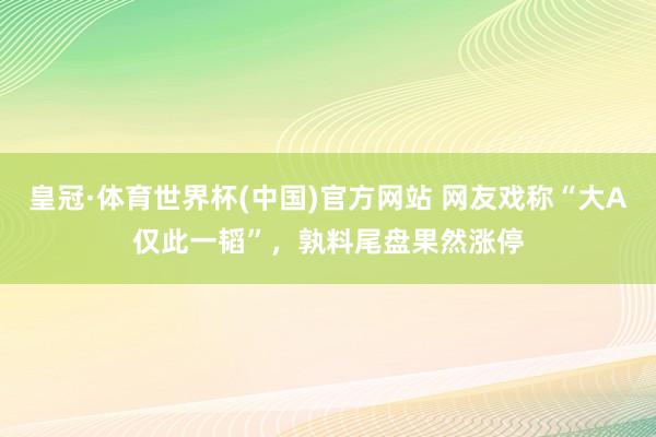 皇冠·体育世界杯(中国)官方网站 网友戏称“大A仅此一韬”,孰料尾盘果然涨停