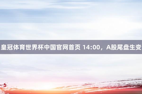 皇冠体育世界杯中国官网首页 14:00,A股尾盘生变