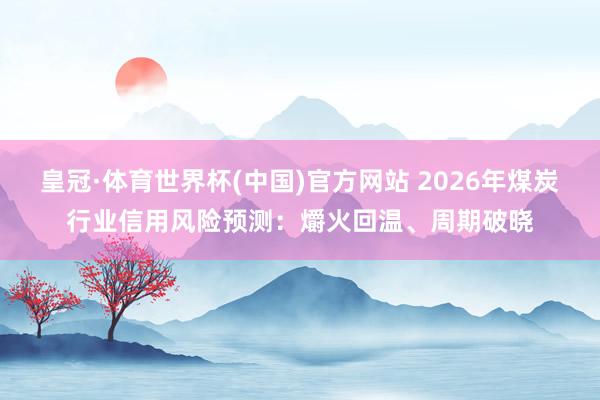 皇冠·体育世界杯(中国)官方网站 2026年煤炭行业信用风险预测:爝火回温、周期破晓