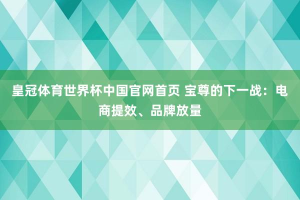 皇冠体育世界杯中国官网首页 宝尊的下一战:电商提效、品牌放量