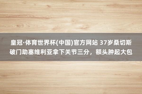 皇冠·体育世界杯(中国)官方网站 37岁桑切斯破门助塞维利亚拿下关节三分,额头肿起大包