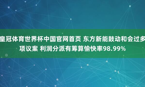 皇冠体育世界杯中国官网首页 东方新能鼓动和会过多项议案 利润分派有筹算愉快率98.99%