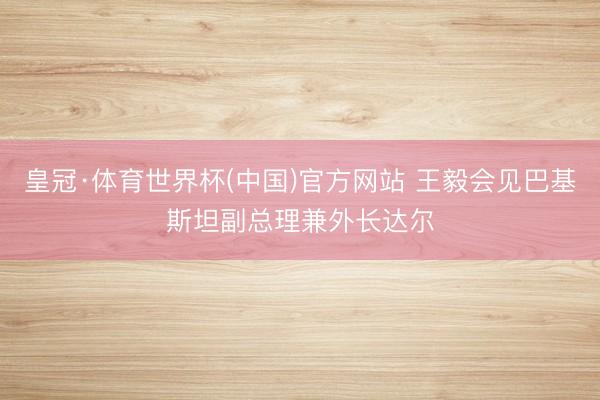 皇冠·体育世界杯(中国)官方网站 王毅会见巴基斯坦副总理兼外长达尔