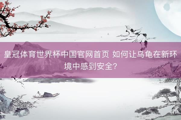 皇冠体育世界杯中国官网首页 如何让乌龟在新环境中感到安全?